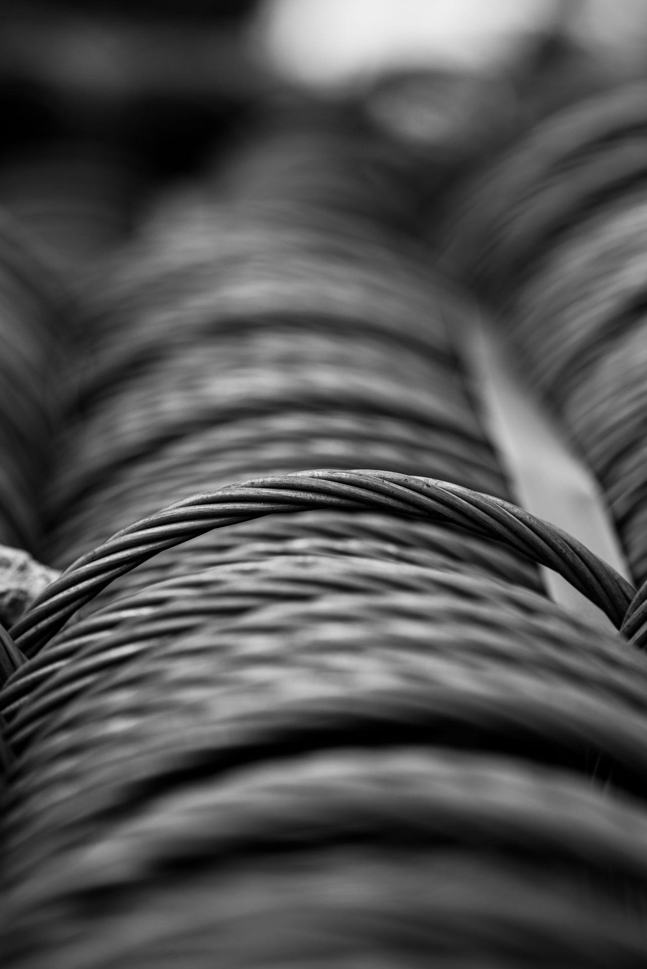 Steel Coils — photo 3