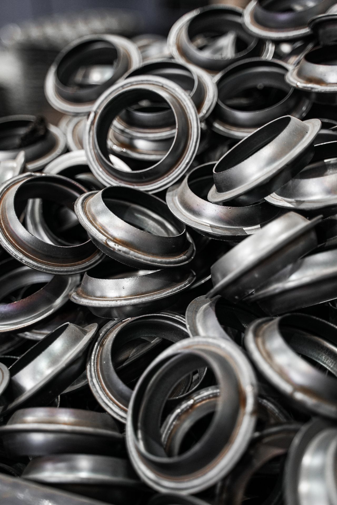Stainless Steel Flanges