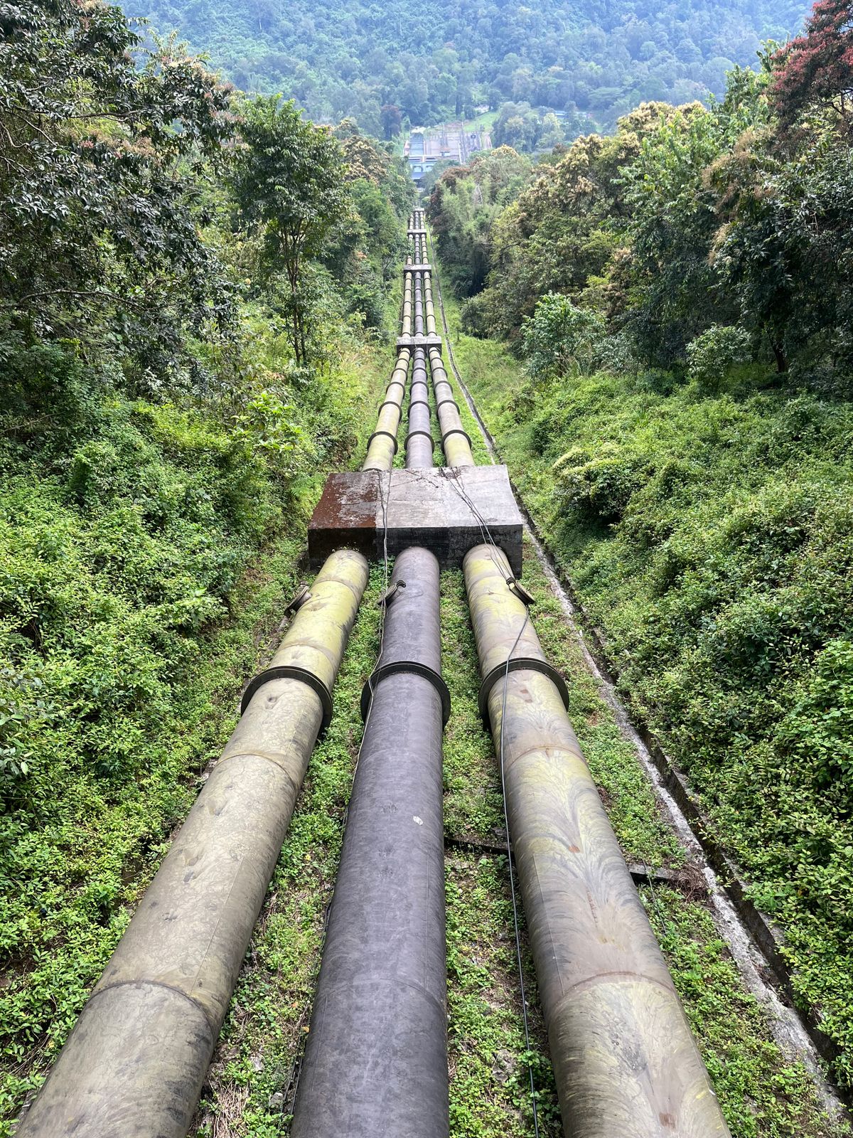 Monel Pipes