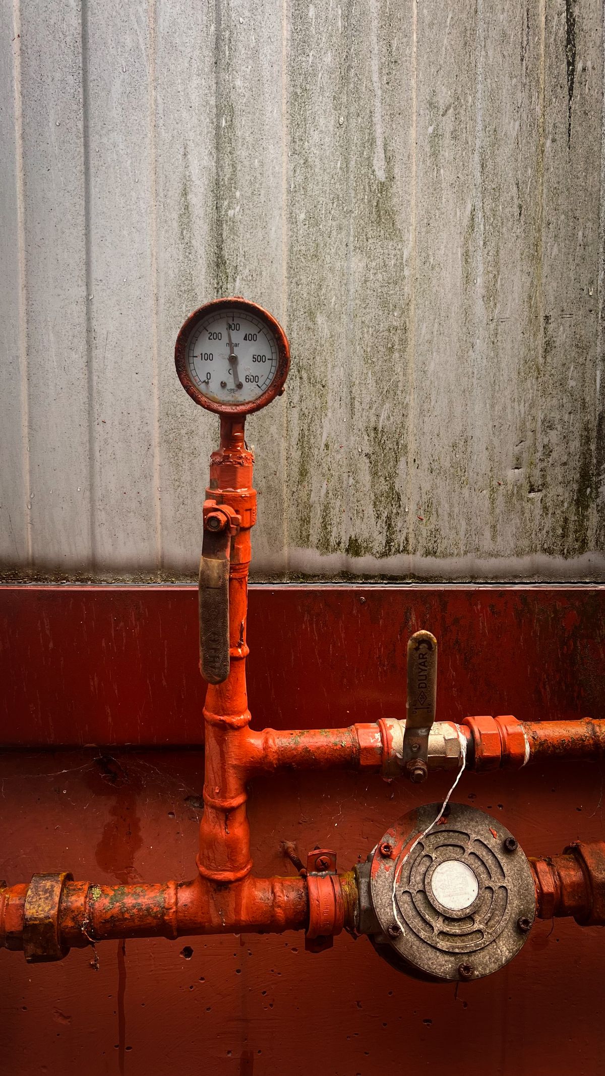 Hastelloy Pipes